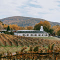 The Best Dining Spots in Central Virginia with a Scenic View