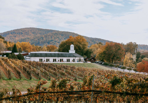 The Best Dining Spots in Central Virginia with a Scenic View